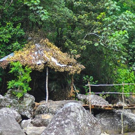 Jungle Tree House Rangala Panzió Kandy Kültér fotó