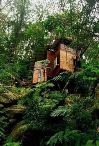 Jungle Tree House Rangala Panzió Kandy Kültér fotó