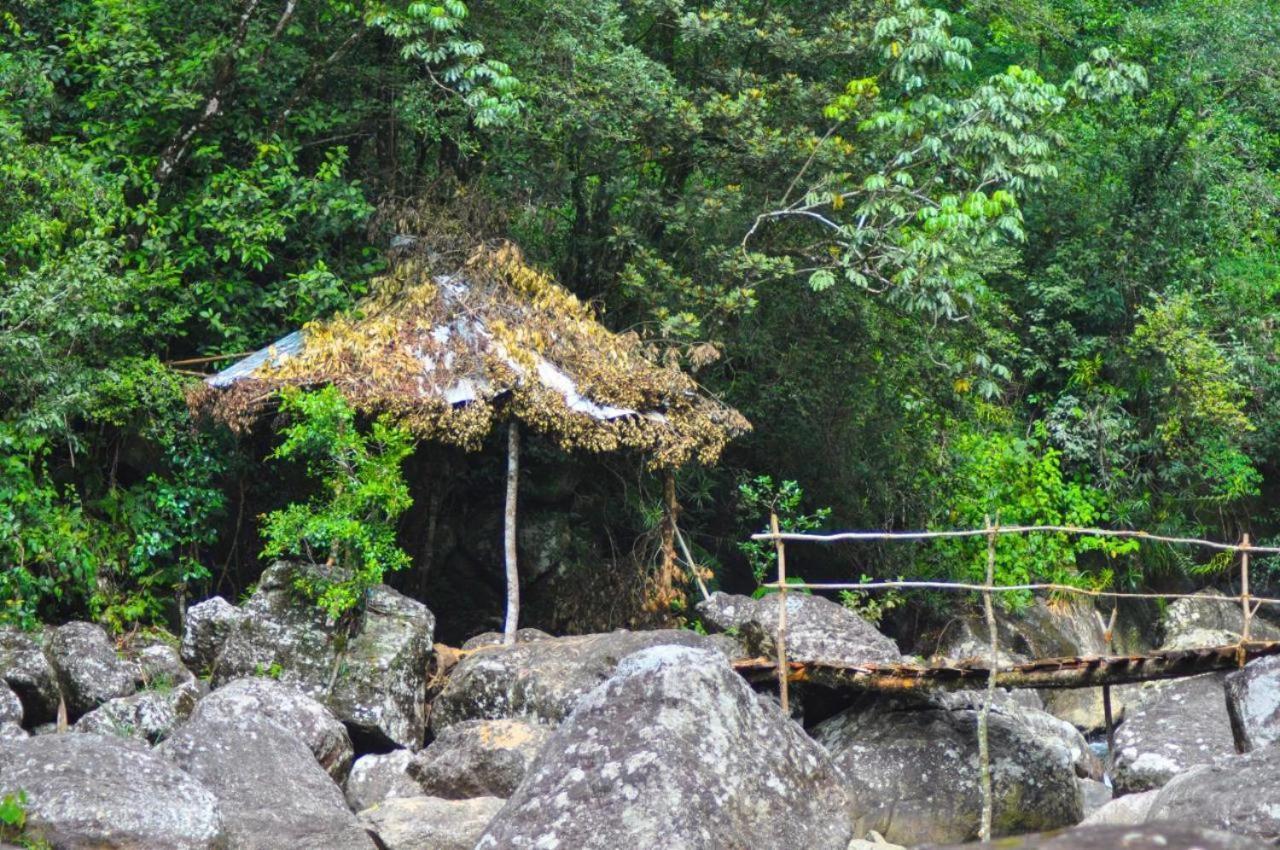 Jungle Tree House Rangala Panzió Kandy Kültér fotó