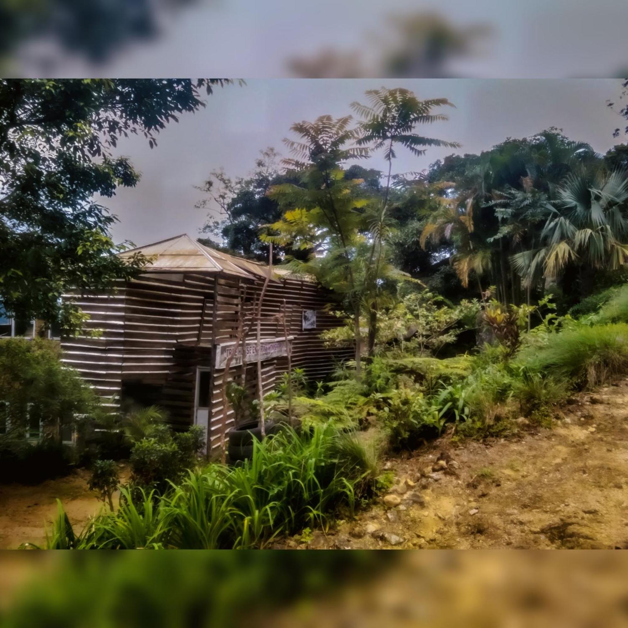 Jungle Tree House Rangala Panzió Kandy Kültér fotó